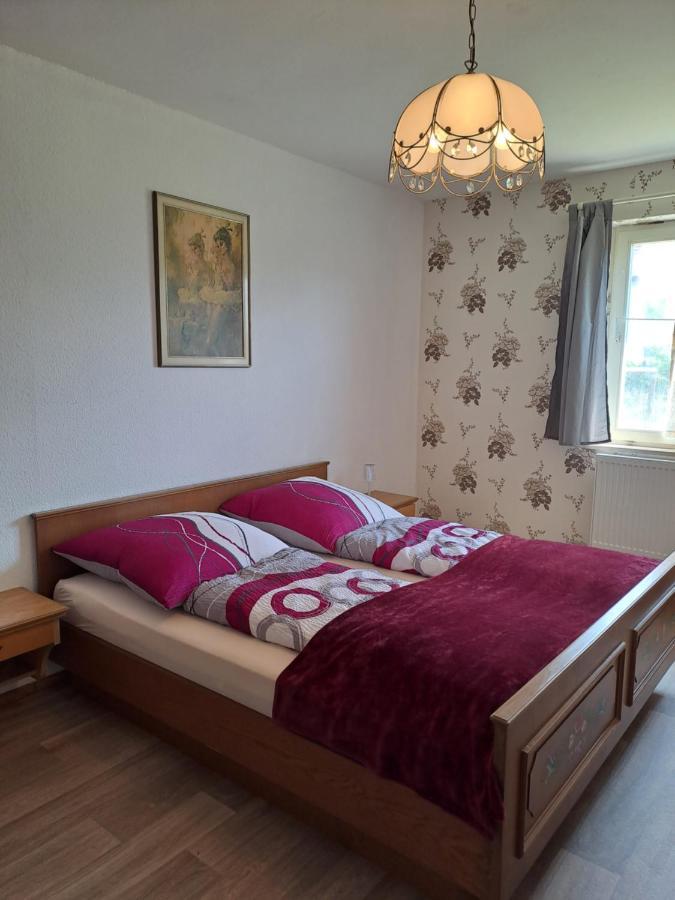 Keller'S Ferienwohnung An Der Saale Schwarzenbach an der Saale 外观 照片